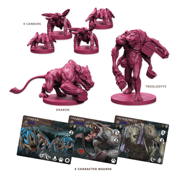 Maladum Dungeons of Enveron Starter Set